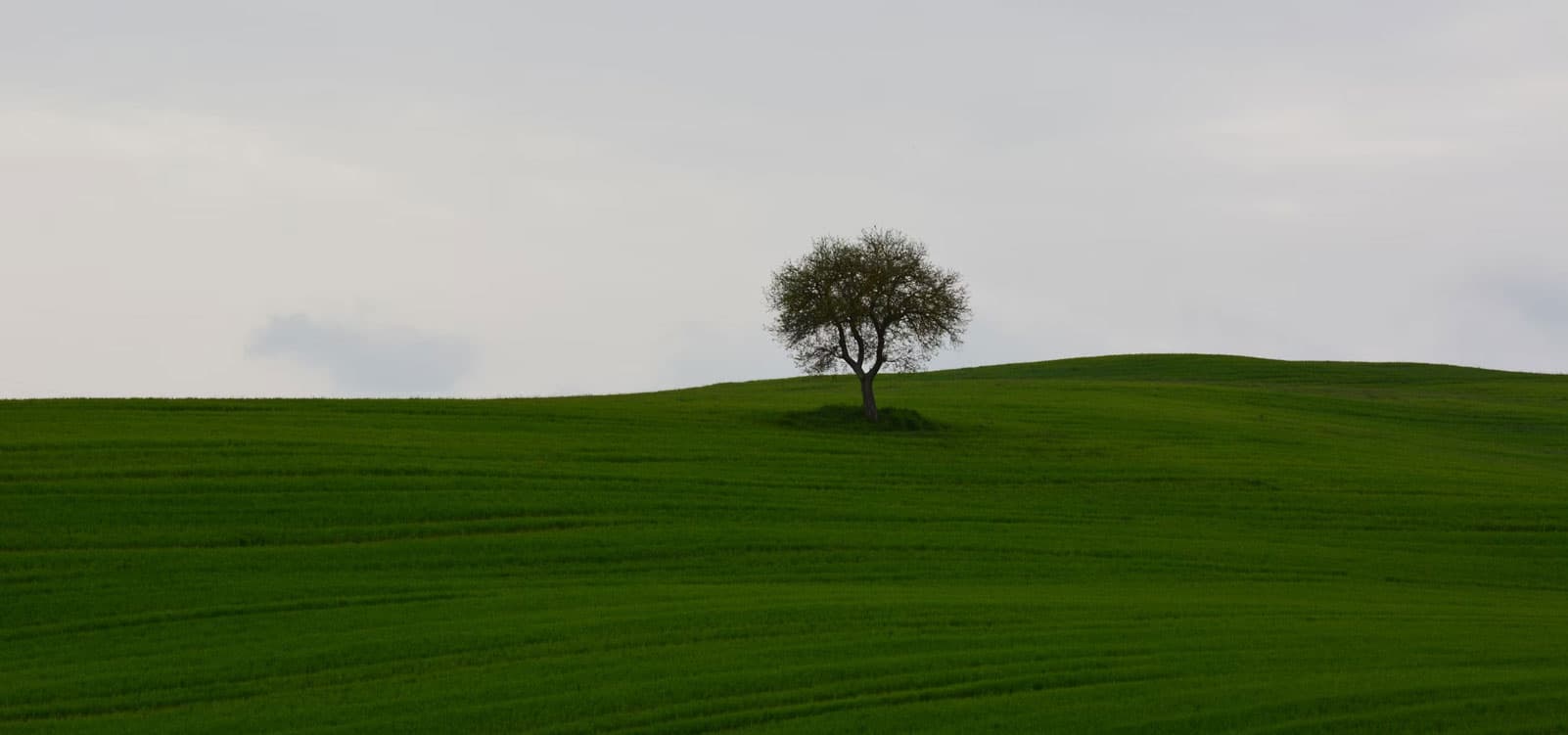 What Is Emotional Hygiene? A Simple Guide to Daily Mental Maintenance